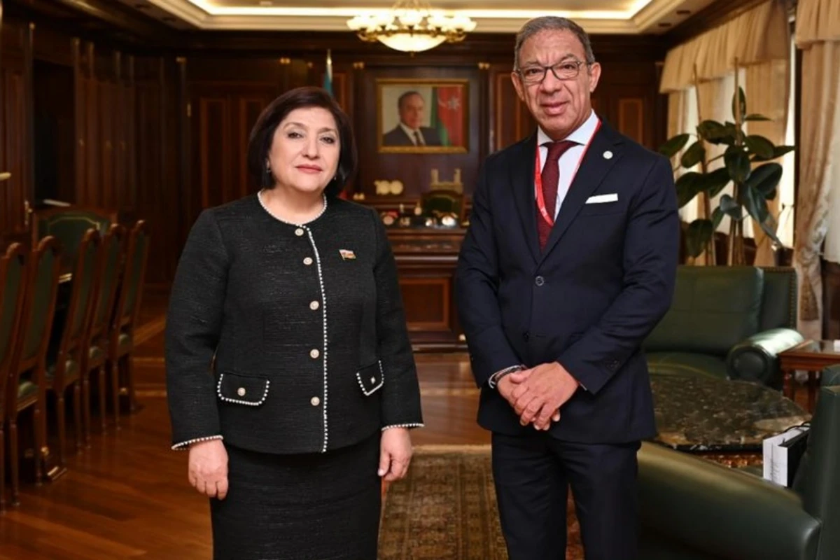 Sahibə Qafarova Serbiya Milli Assambleyasının sədri ilə görüşüb