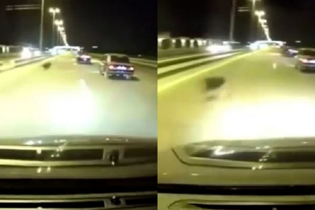 В Баку собака стала причиной тяжелого ДТП - ВИДЕО