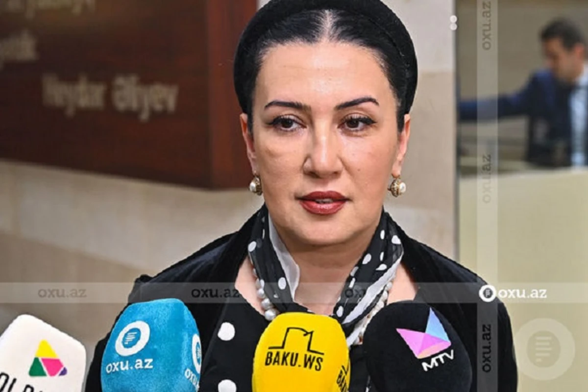 Gövhər Həsənzadə: “Sənətlə bağlı olan proqramların sayı azalıb” Gövhər Həsənzadə: “Sənətlə bağlı olan proqramların sayı azalıb”