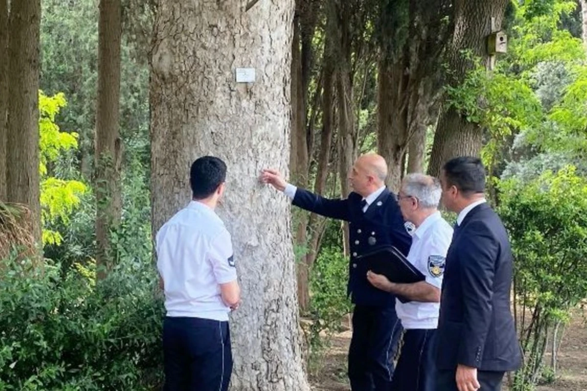 Mərkəzi Nəbatat bağında monitorinq keçirilib - FOTO