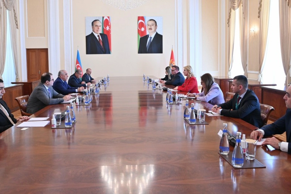 Əli Əsədov Monteneqro parlamentinin sədri ilə görüşüb