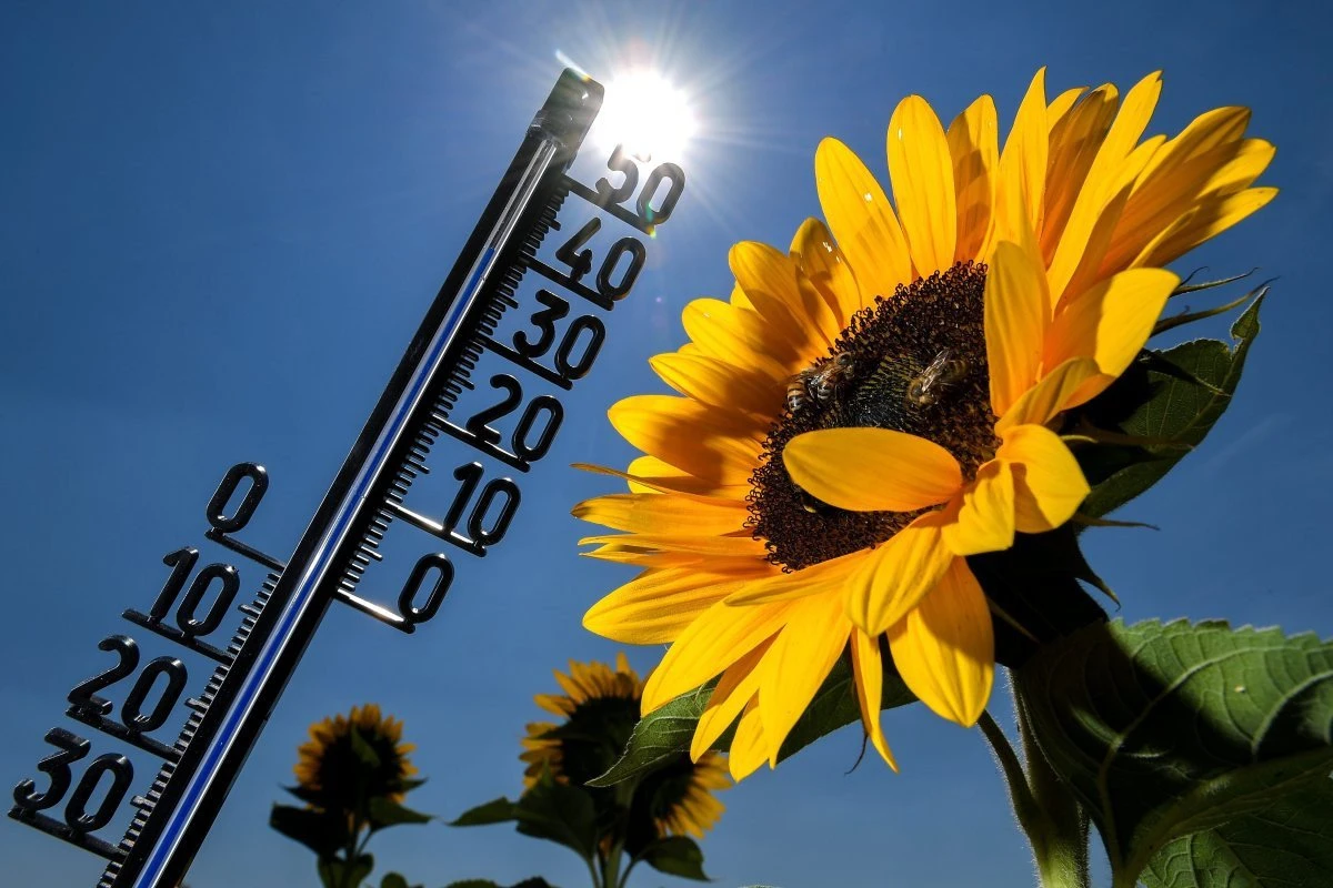Завтра ожидается до 35° тепла