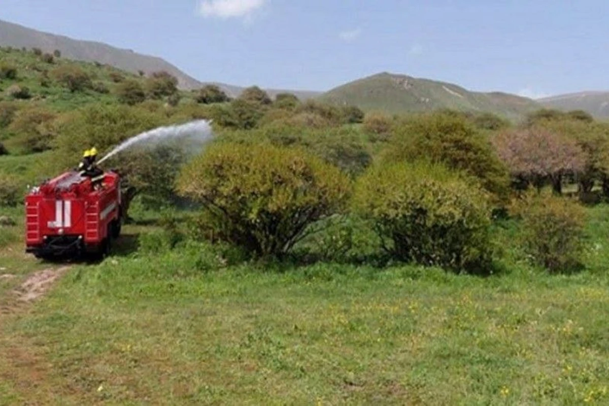 Naxçıvan Kənd Təsərrüfatı Nazirliyində monitorinq qrupları yaradılıb - FOTO