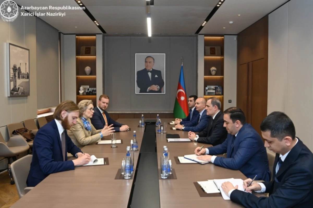 Джейхун Байрамов проинформировал президента ПА ОБСЕ о провокациях Армении - ФОТО