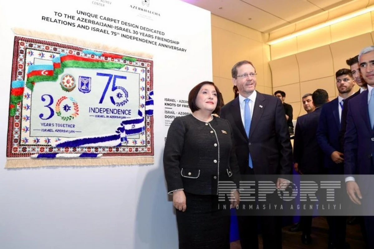 Sahibə Qafarova: “İsrail şirkətləri Qarabağda və Şərqi Zəngəzurda yenidənqurma işlərində iştirak edir” - FOTO