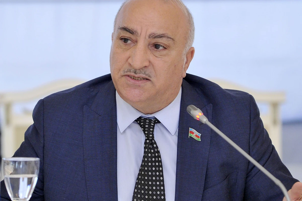 Deputat ağcaqanadlardan və küçə itlərindən şikayətlənib: “İtləri yığıb Koreyaya, Çinə sataq?”