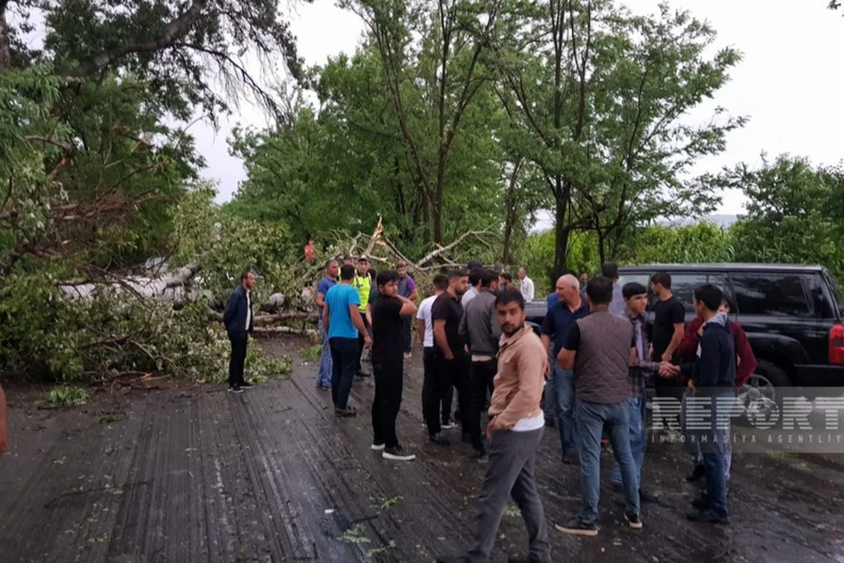 Azərbaycanda güclü külək 2 nəfərin ölümünə səbəb olub, yaralananlar var - FOTO