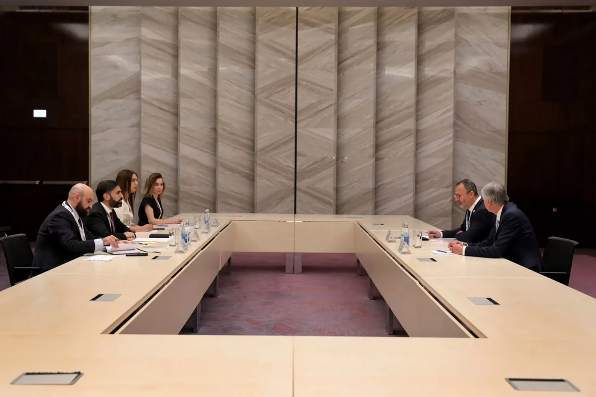 SOCAR-ın prezidenti “TotalEnergies”in Avropa üzrə birinci vitse-prezidenti ilə görüşüb - FOTO