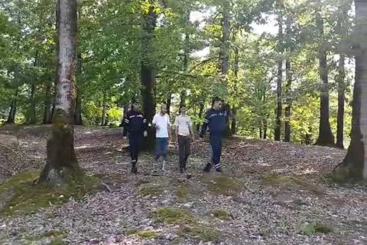 В Лянкяране спасли заблудившегося в лесу мужчину - ВИДЕО