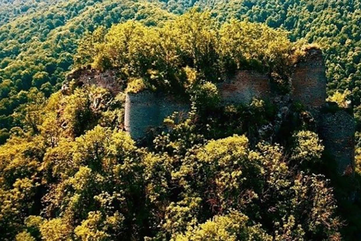 “AzerGold”: Gədəbəydəki məsələ ilə heç bir bağlılığımız yoxdur - AÇIQLAMA