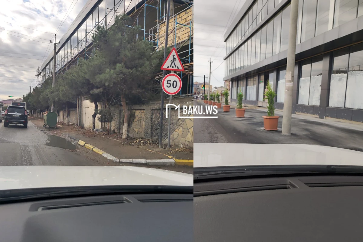 Masazırda ağacları kəsib yerini betonladılar - FOTO