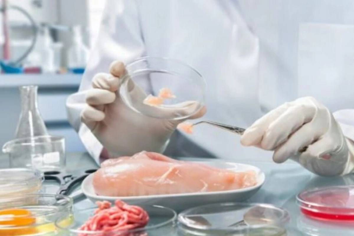Laboratoriyada hazırlanan süni toyuq ətinin satışına icazə verildi