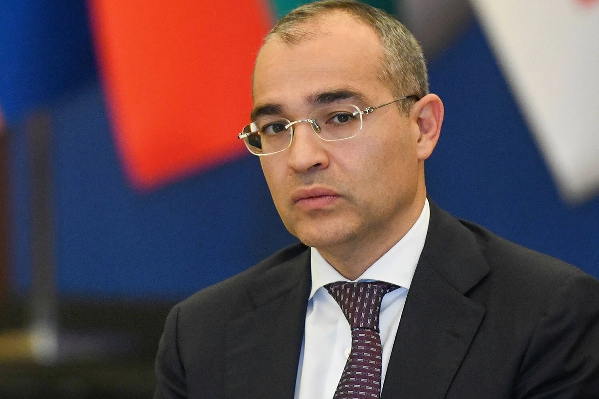 Микаил Джаббаров: Деятельность KOBİA в направлении поддержки бизнеса заслуживает высокой оценки - ФОТО