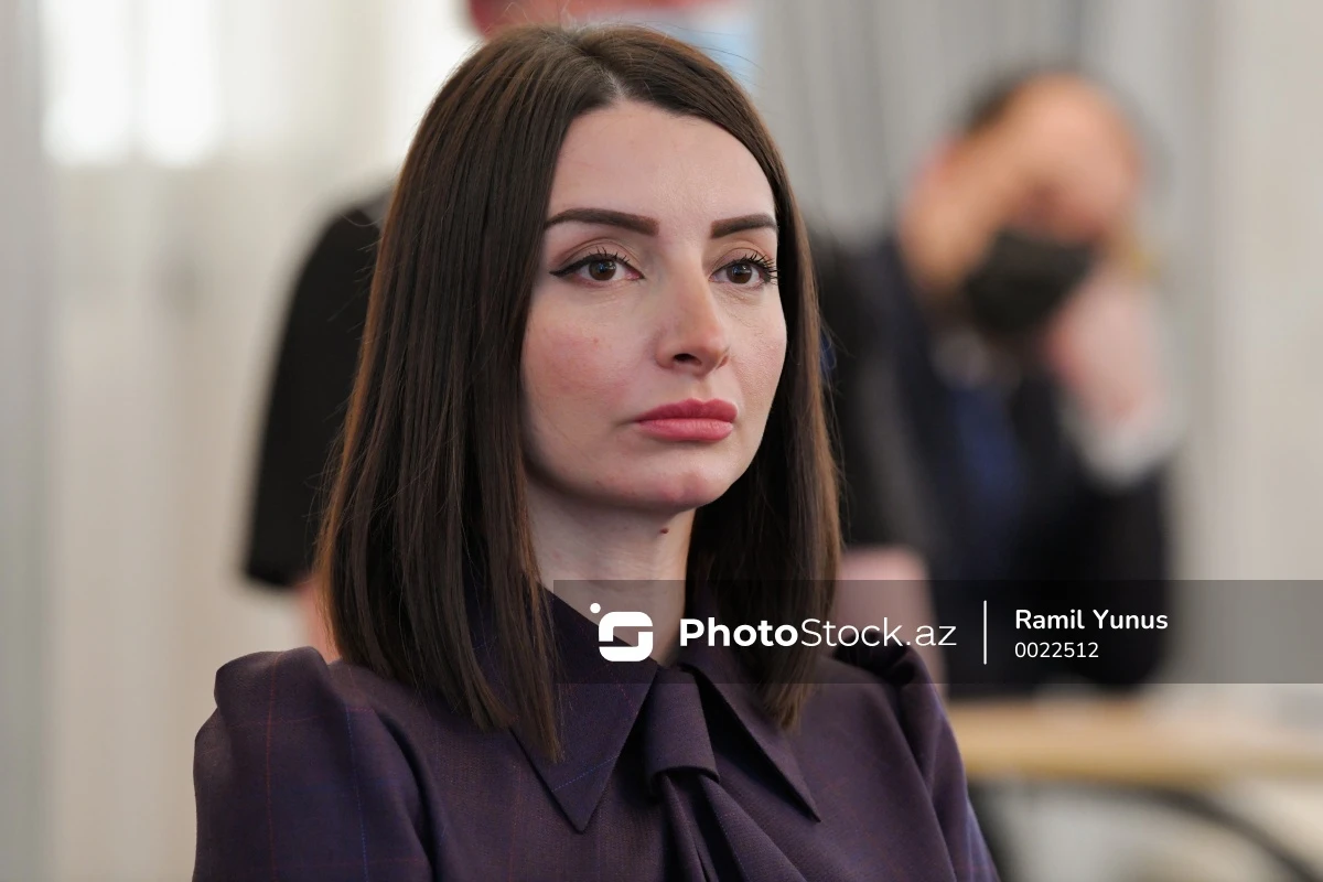 Посол Азербайджана осудила нападение на съемочную группу AZTV во Франции - ВИДЕО