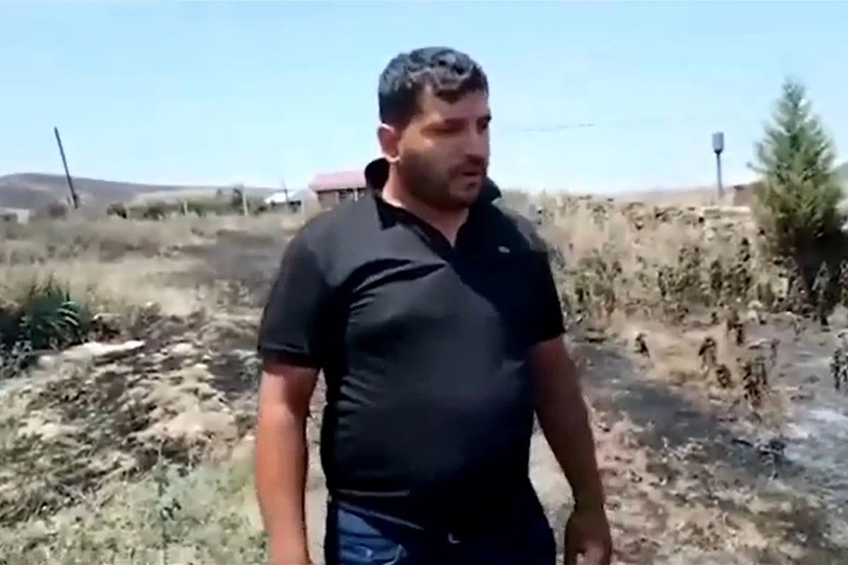 Taxıl sahəsində yanğın törədən şəxs müəyyən edildi - VİDEO