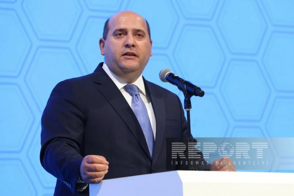 Prezidentin xüsusi nümayəndəsi Qarabağ və Şərqi Zəngəzurda hansı sahələrdə kadrlara ehtiyac olduğunu açıqlayıb