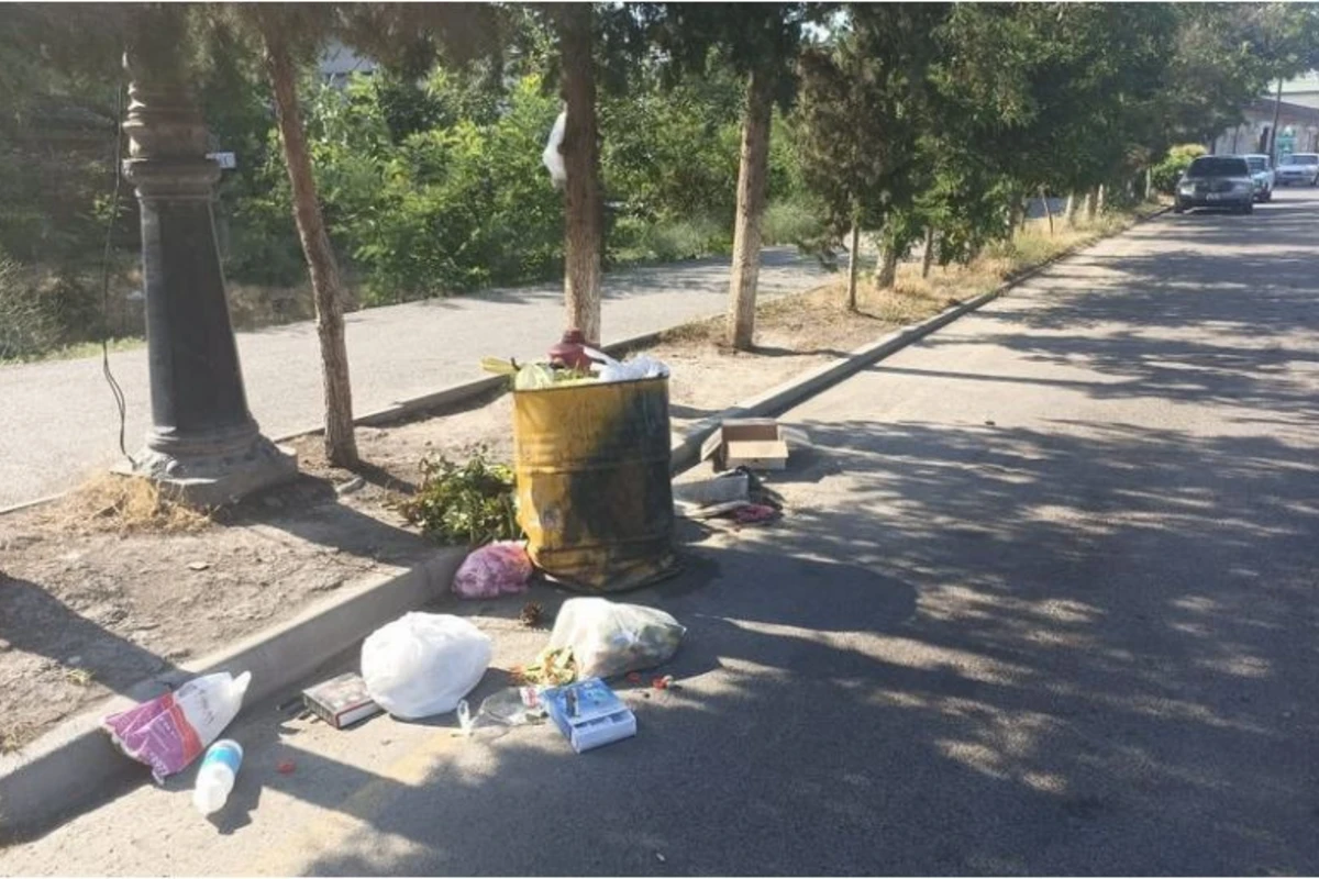 Hacıqabul və Ucarda ətraf mühiti zibilləyən şəxslər barəsində tədbirlər görülüb - FOTO