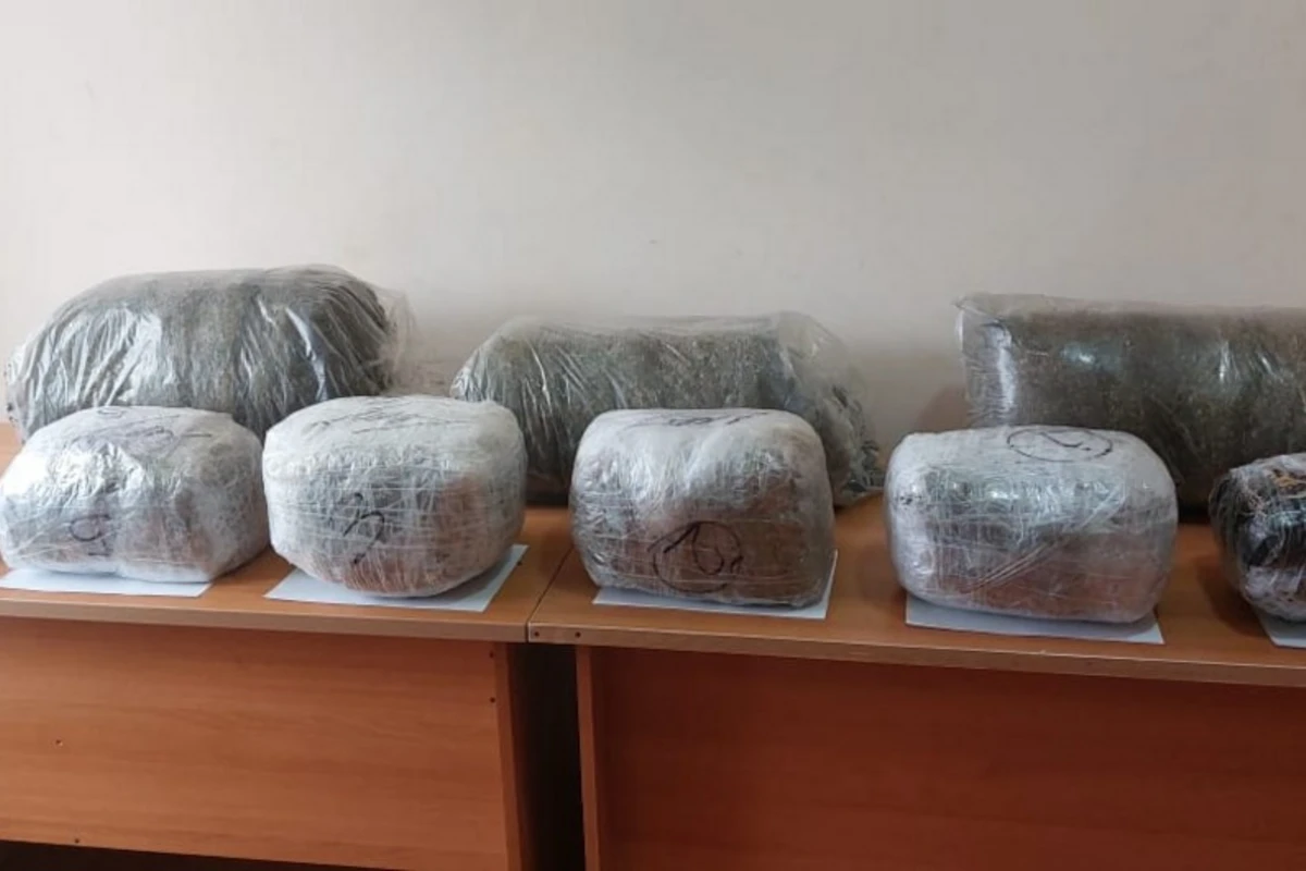 Azərbaycana 54 kiloqram narkotik vasitənin keçirilməsinin qarşısı alınıb - FOTO