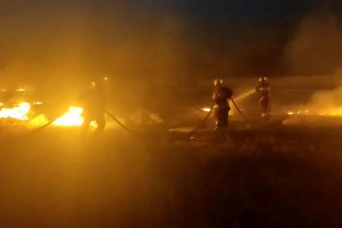 В Садаракском районе возник пожар на зерновом поле - ВИДЕО