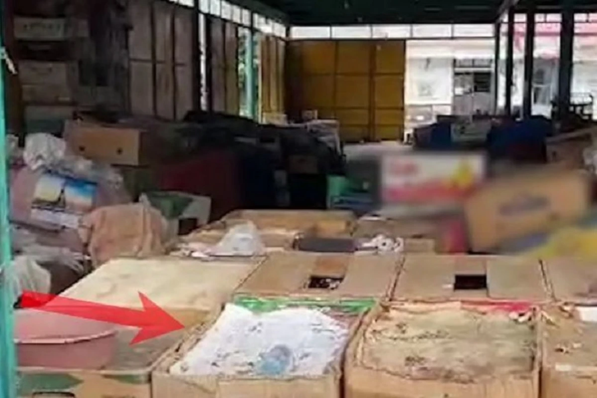 Голодные игры армян в Ханкенди - ВИДЕО