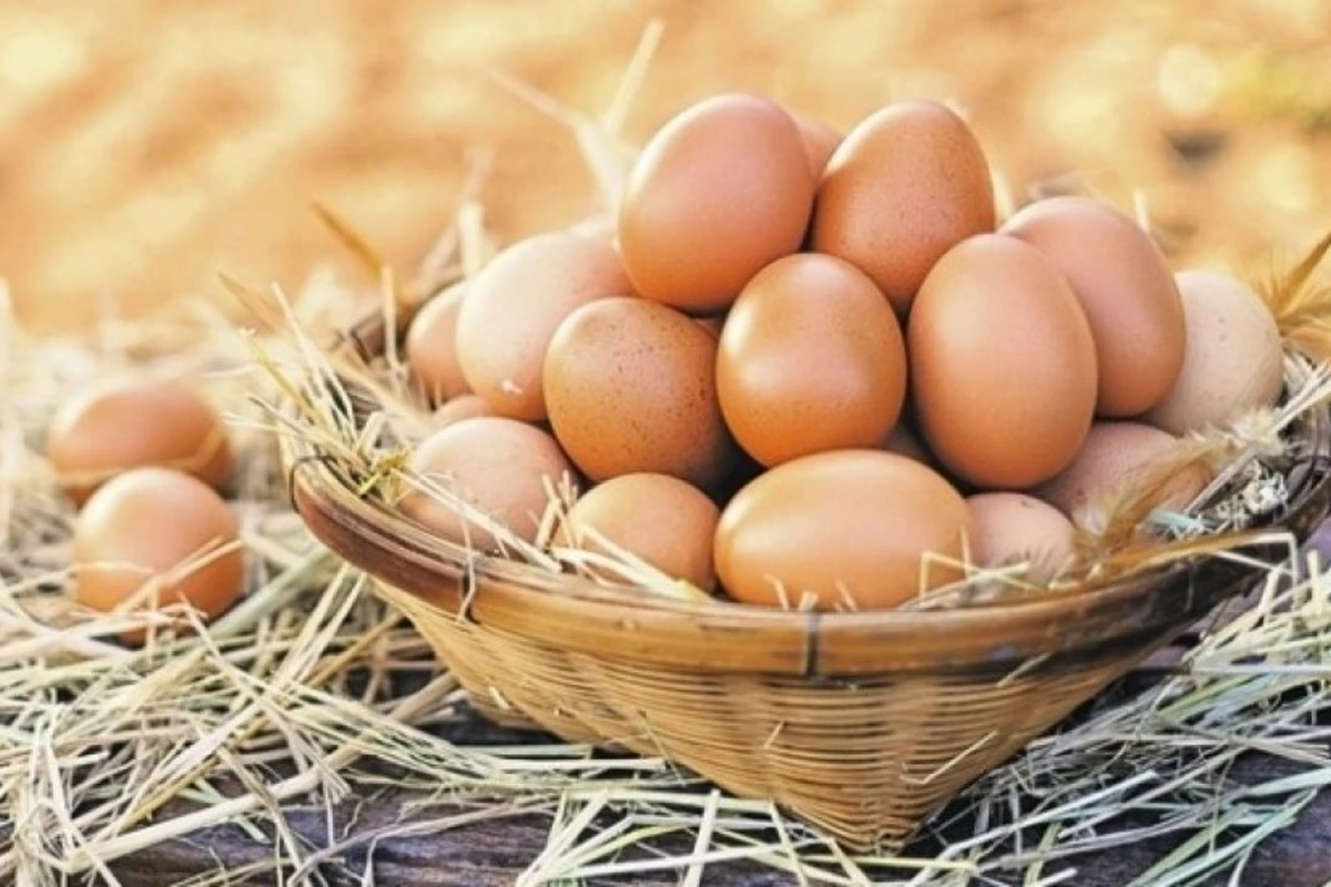 Yumurta ucuzlaşacaq? - AÇIQLAMA + FOTO