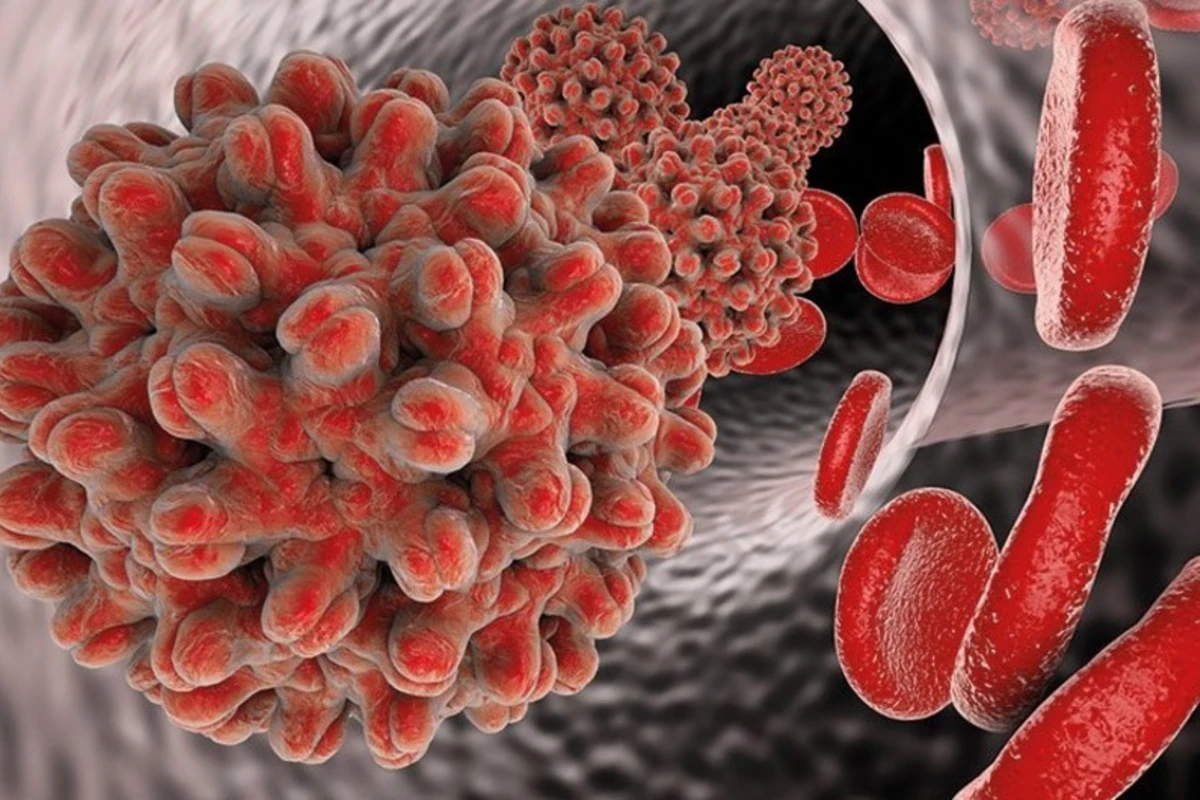 Bu ilin iyuluna qədər Azərbaycanda 934 nəfərdə hepatit C virusu aşkarlanıb