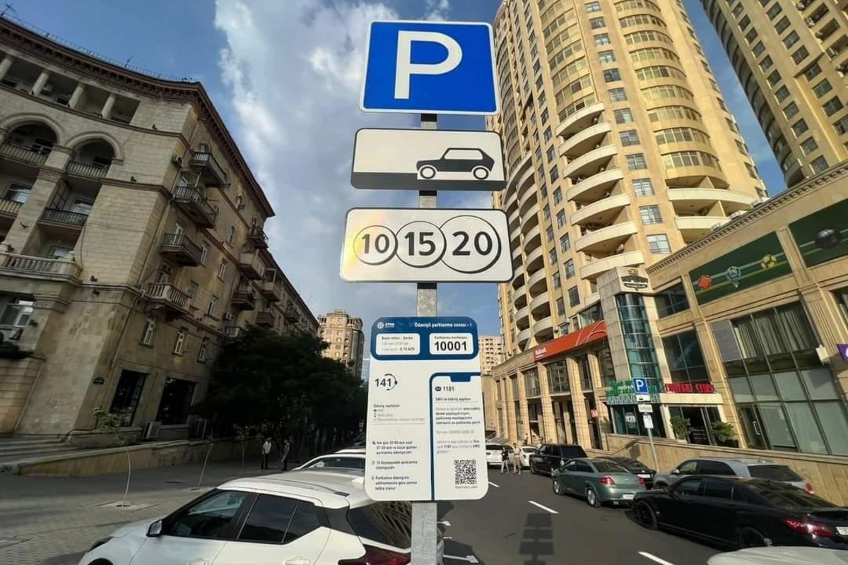 Parklanmadan büdcəyə daxil olan pul NƏYƏ XƏRCLƏNƏCƏK? - VİDEO