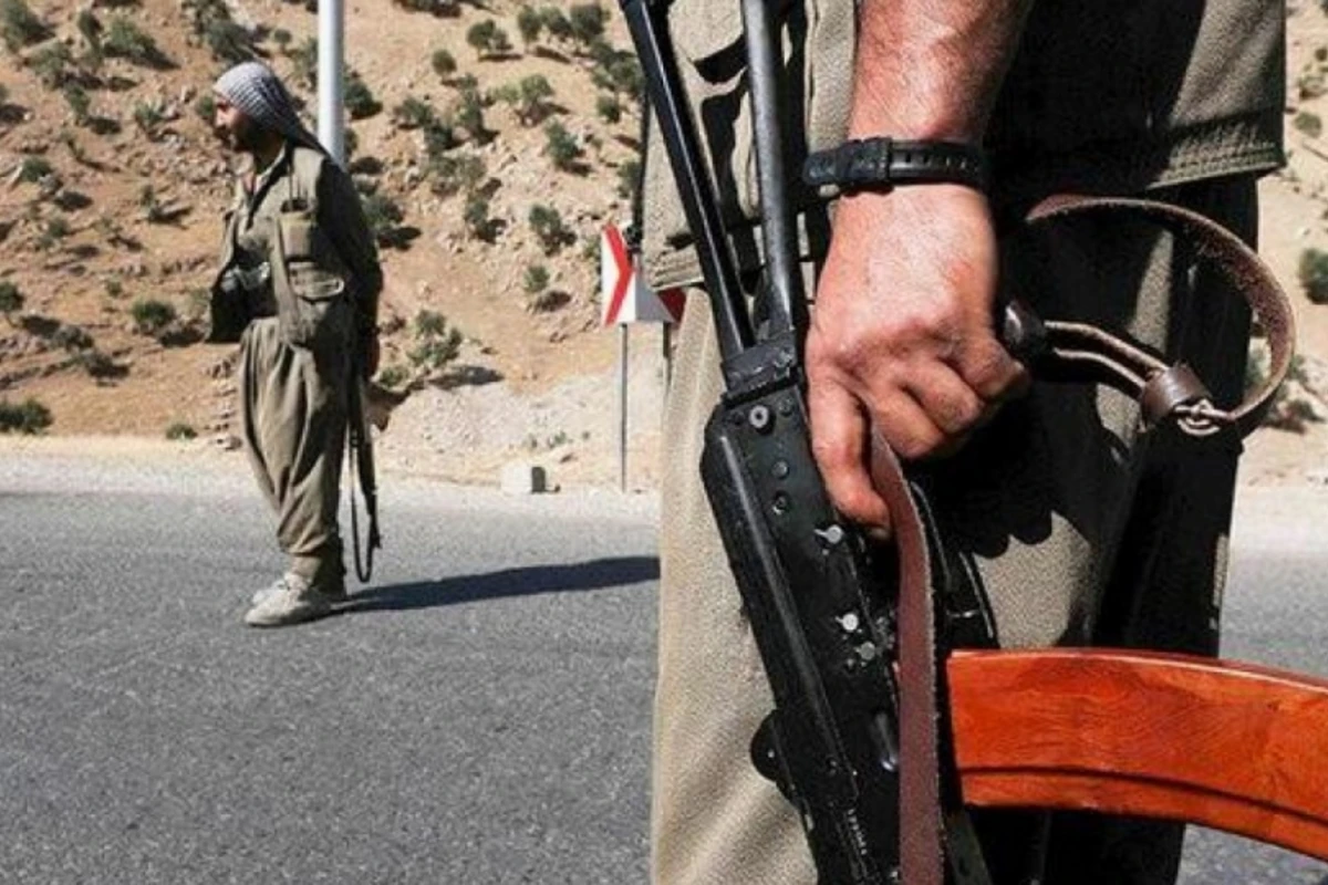 Suriyada PKK-nin 12 silahlısı məhv edilib