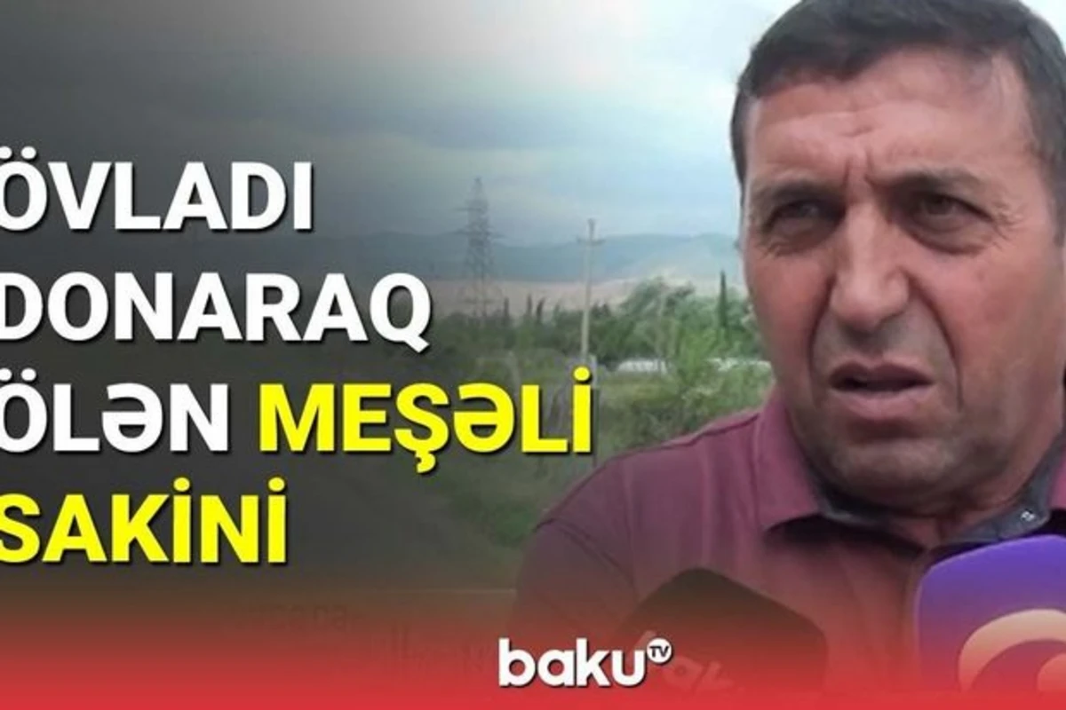Meşəli sakini faciəli günlər barədə danışdı - VİDEO Meşəli sakini faciəli günlər barədə danışdı - VİDEO