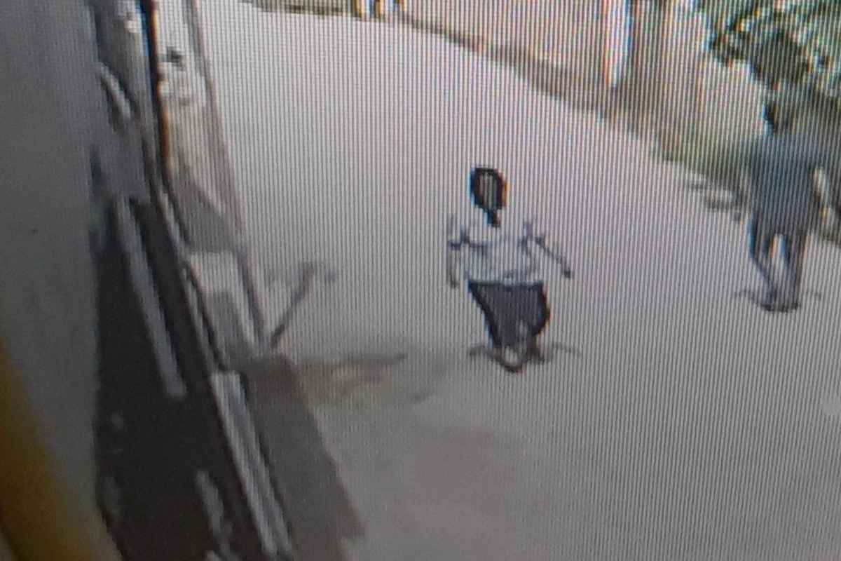 İtkin düşən bu xanımı görən şəxsi böyük mükafat gözləyir - FOTO/VİDEO