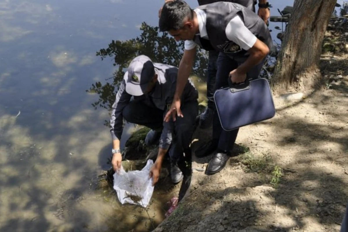 Adı Qırmızı Kitaba düşmüş zəlini ovlayan şəxs cəzalandırıldı - FOTO