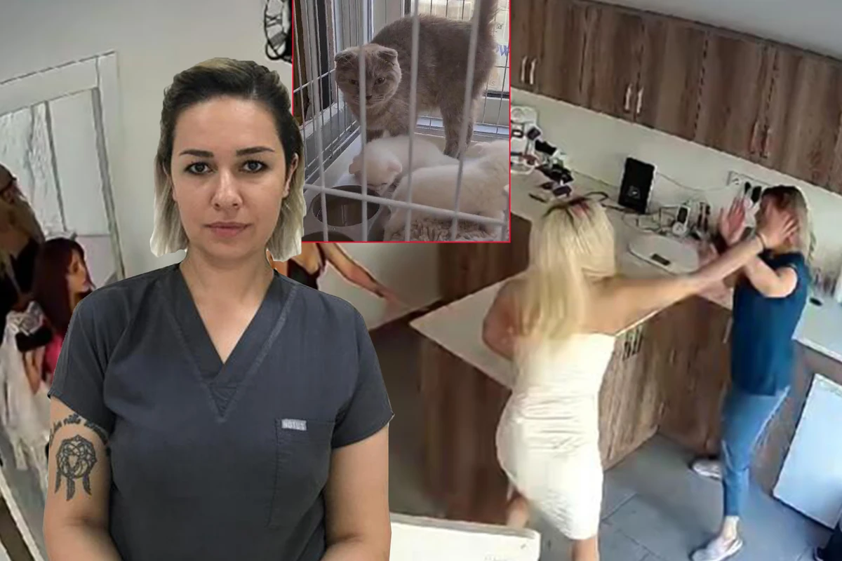 Pişiyi ölən qadın 4 rəfiqəsi ilə birgə klinikaya hücum edib baytarı döydü - FOTO
