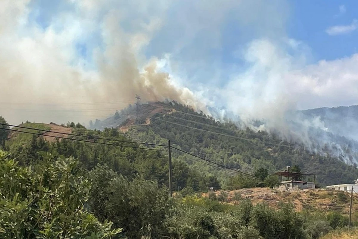 Hatayda meşə yanğını: Helikopterlər cəlb edilib