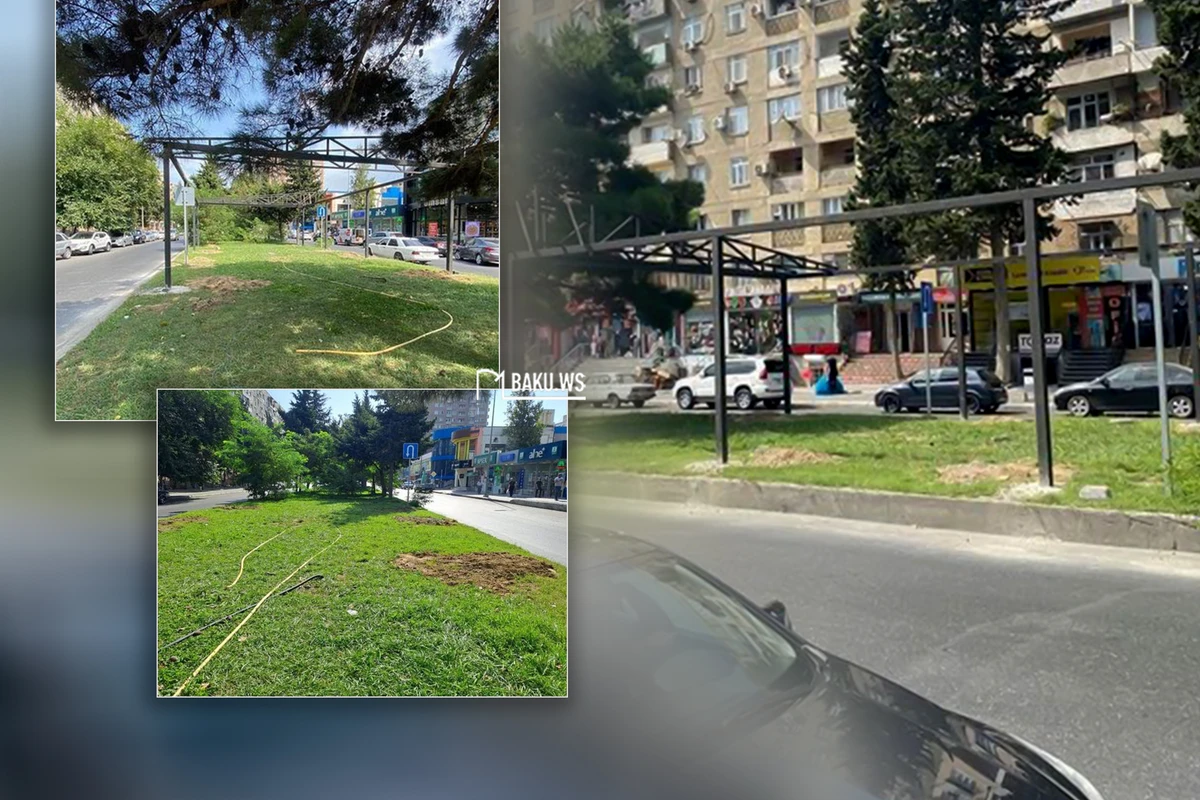 В Баку пресекли незаконное строительство нового кафе - ОБНОВЛЕНО + ФОТО