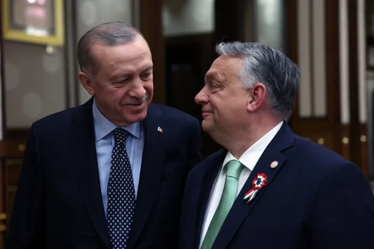 СМИ: Президент Турции посетит Венгрию