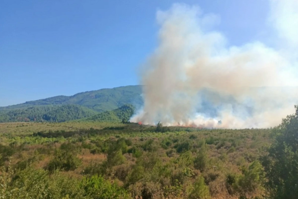 Türkiyənin Burdur vilayətində meşə yanğını başlayıb, 5 təyyarə cəlb olunub