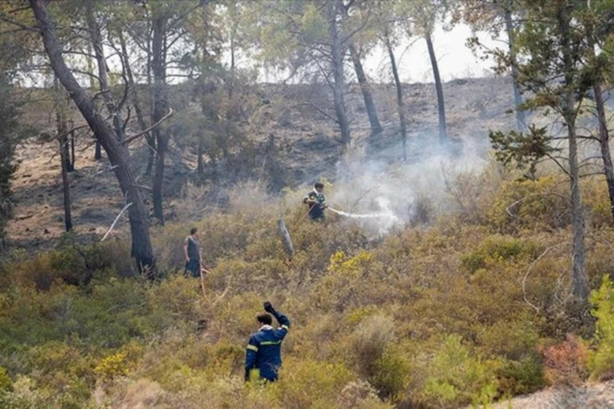 Yunanıstanda meşə yanğınları - Alovlar Türk kəndlərinə çatıb, ölən var - FOTO