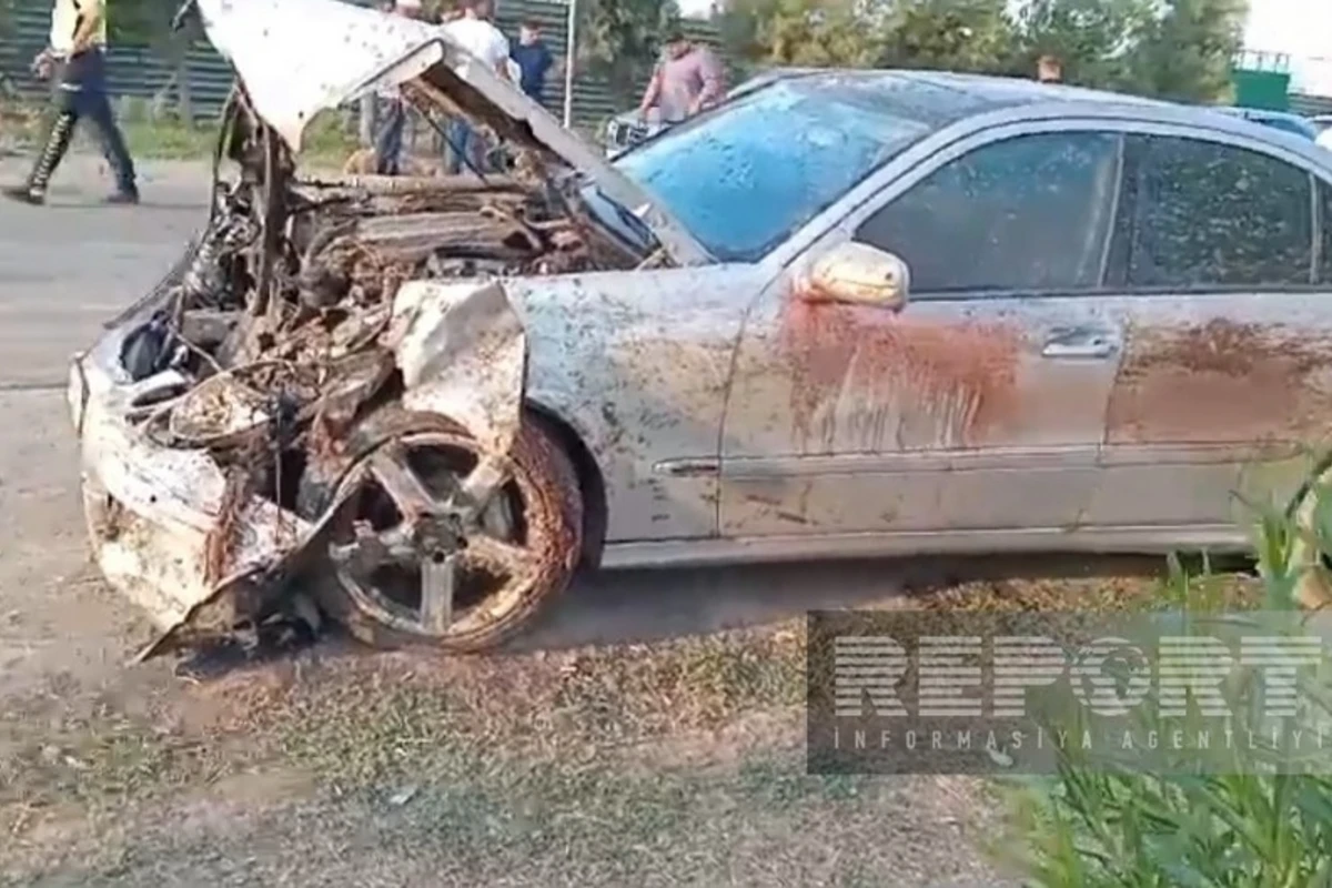 В Джалилабаде автомобиль врезался в стадо овец - ВИДЕО