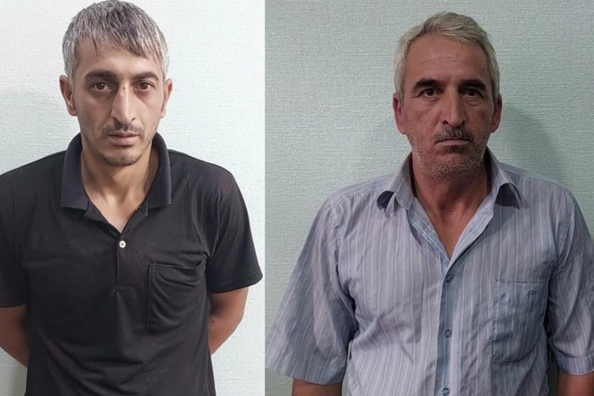 В Лерике задержаны братья, подозреваемые в краже из магазина и платежного терминала - ФОТО
