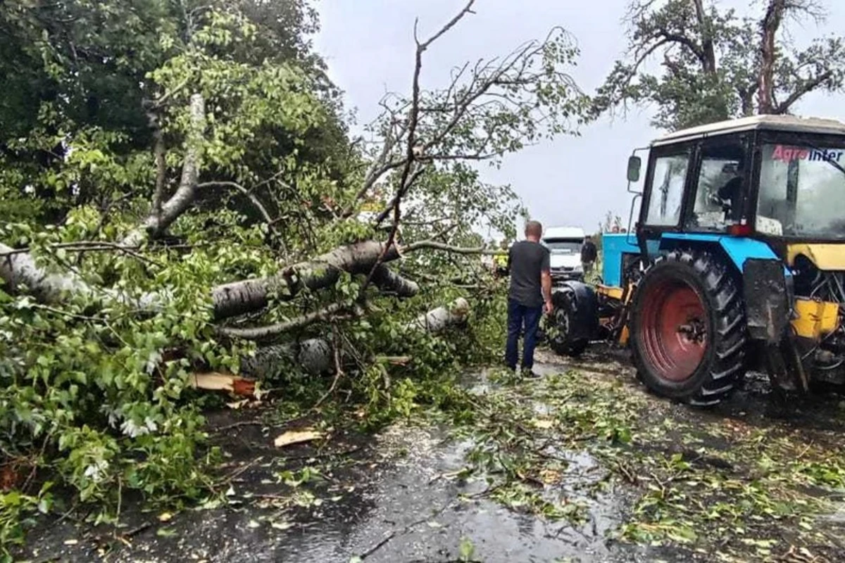 Yevlax-Zaqatala-Gürcüstan avtomobil yolunun bir hissəsindəki problem aradan qaldırılıb - FOTO