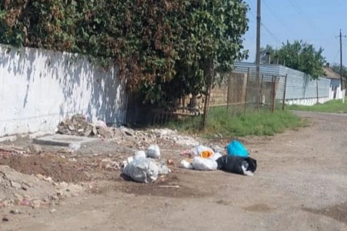 Ətraf mühiti zibilləyən şəxslər məsuliyyətə cəlb olunub - FOTO