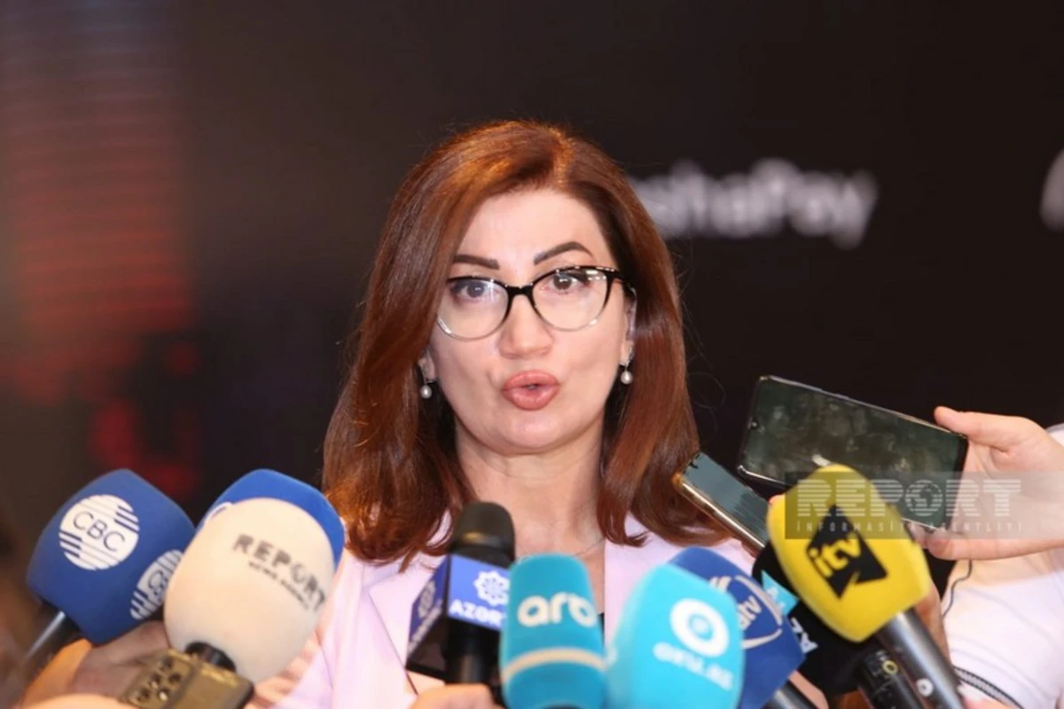 Azərbaycanda ödəniş və elektron pul təşkilatlarının lisenziyalaşdırılmasının vaxtı açıqlanıb