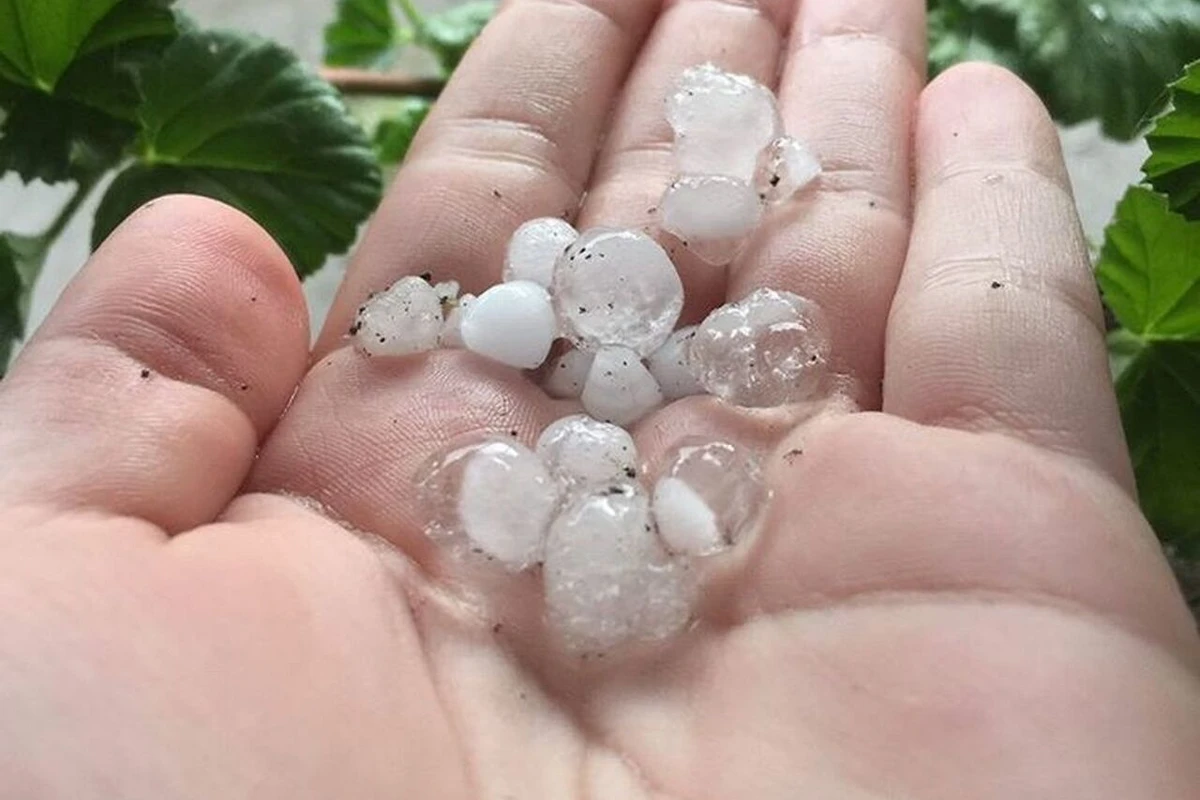 Ölkə ərazisində müşahidə edilən FAKTİKİ HAVA Ölkə ərazisində müşahidə edilən FAKTİKİ HAVA