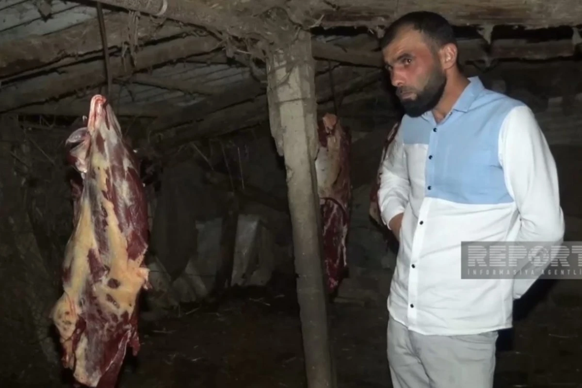 3 baş atı kəsərək ətini Bakıda satmaq istəyən Biləsuvar sakini saxlanılıb - FOTO