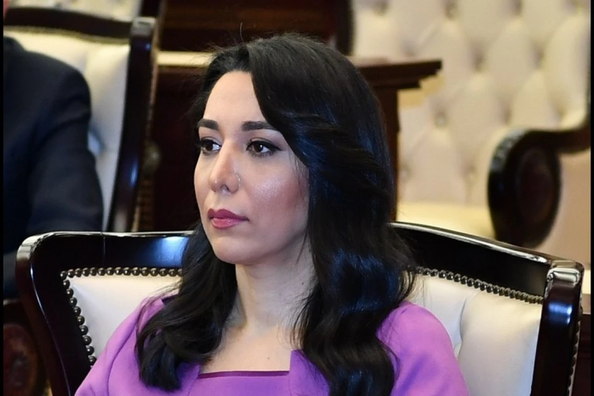 Омбудсмен призвала мировое сообщество оказать давление на Армению в связи с продолжающимся минным террором