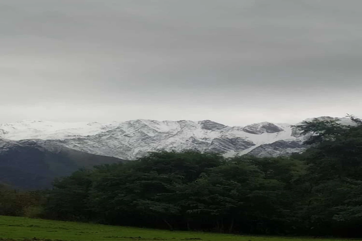 Qaxda dağlıq ərazilərə qar yağıb - FOTO