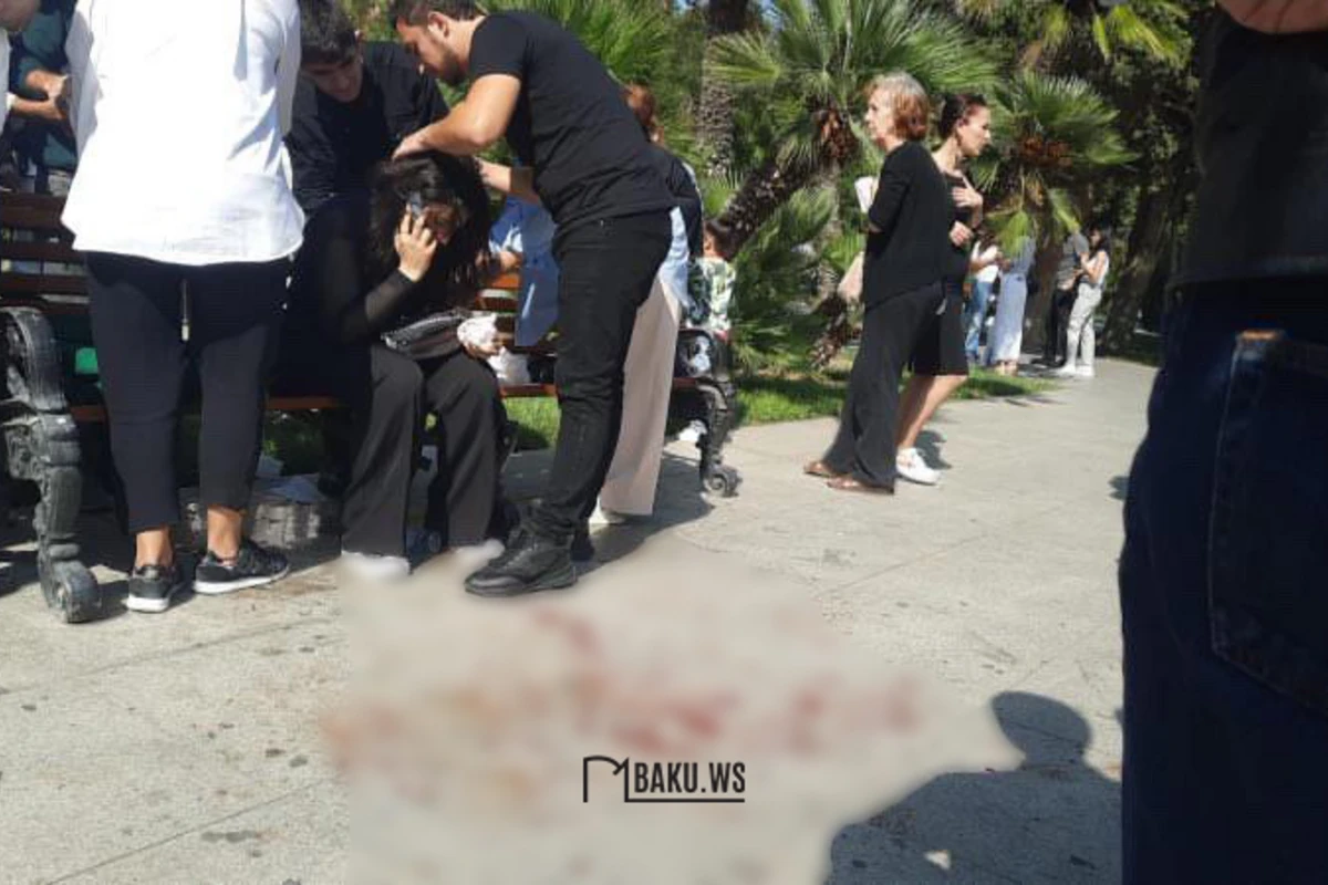 В парке Сахиль девушку ранили ножом - ОБНОВЛЕНО