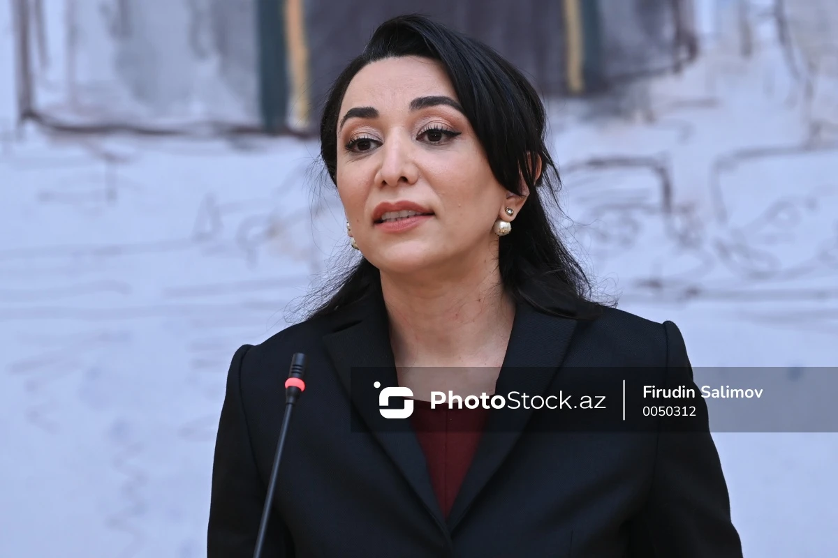 Ombudsman BMT rəsmisini antiterror tədbirləri barədə məlumatlandırıb