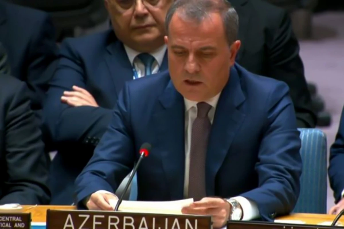 Глава МИД: Шаги Армении продемонстрировали, что на мирных переговорах эта страна не имела добрых намерений