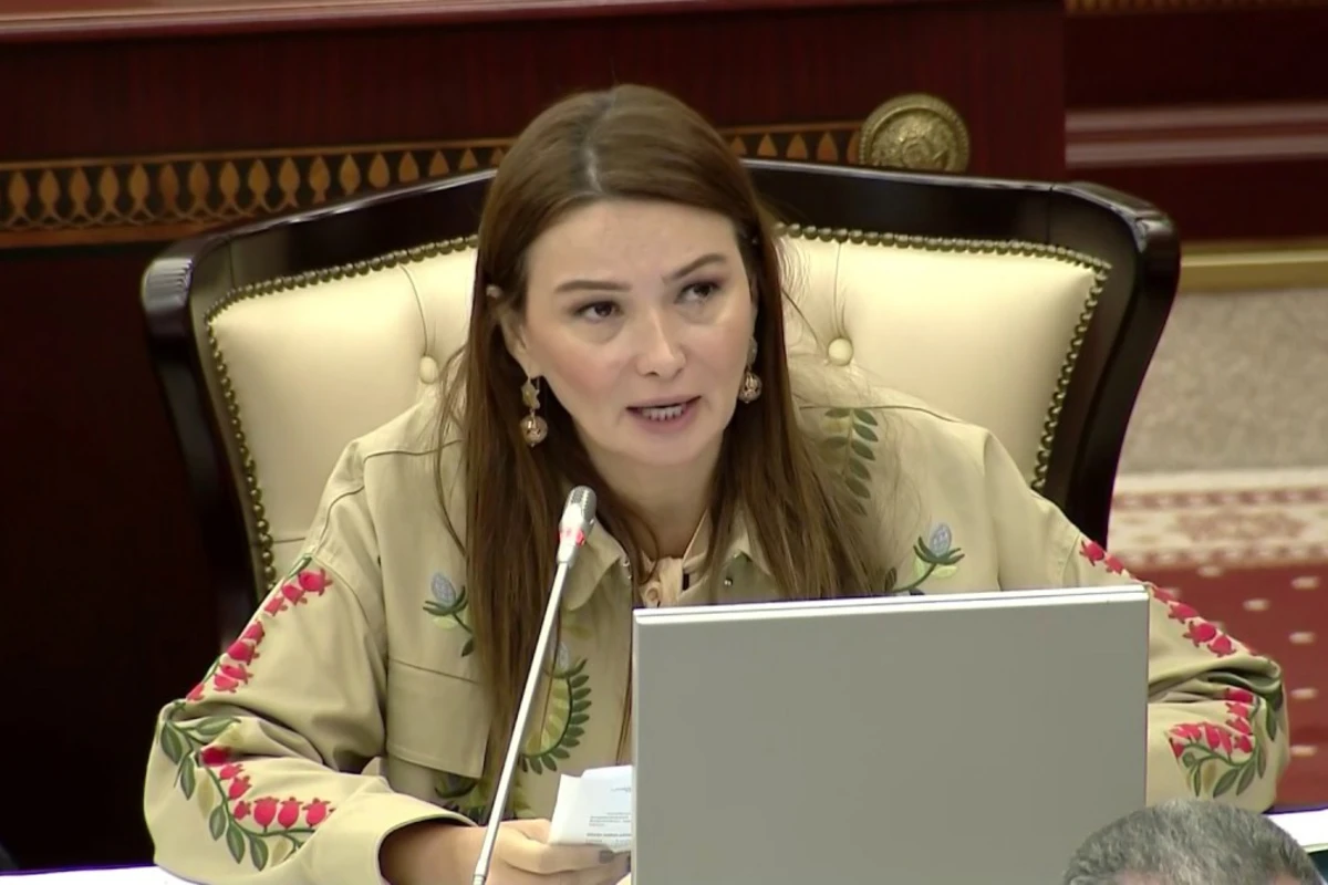 Новое заявление о состоянии Ганиры Пашаевой